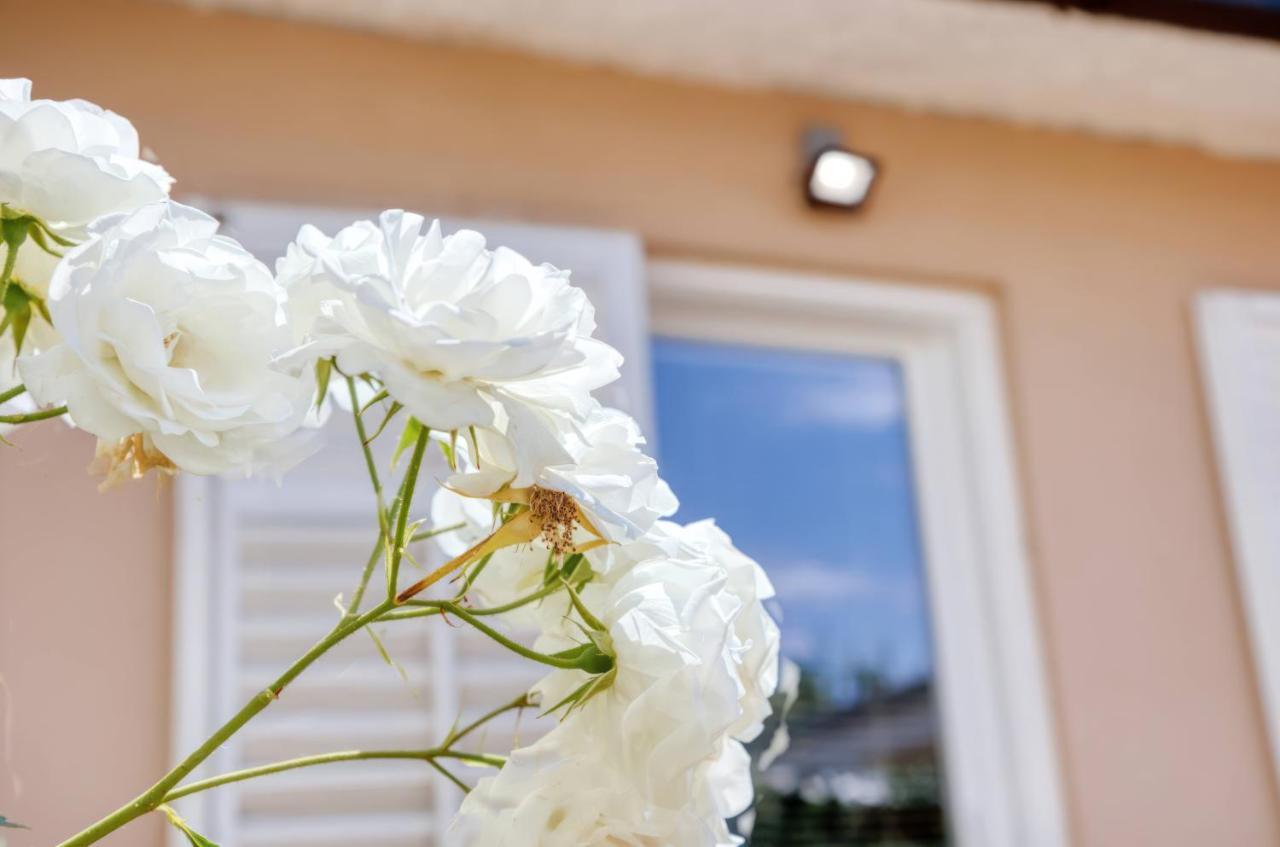 Holiday House "Laurus Garden" With Private Parking 메덜린 외부 사진